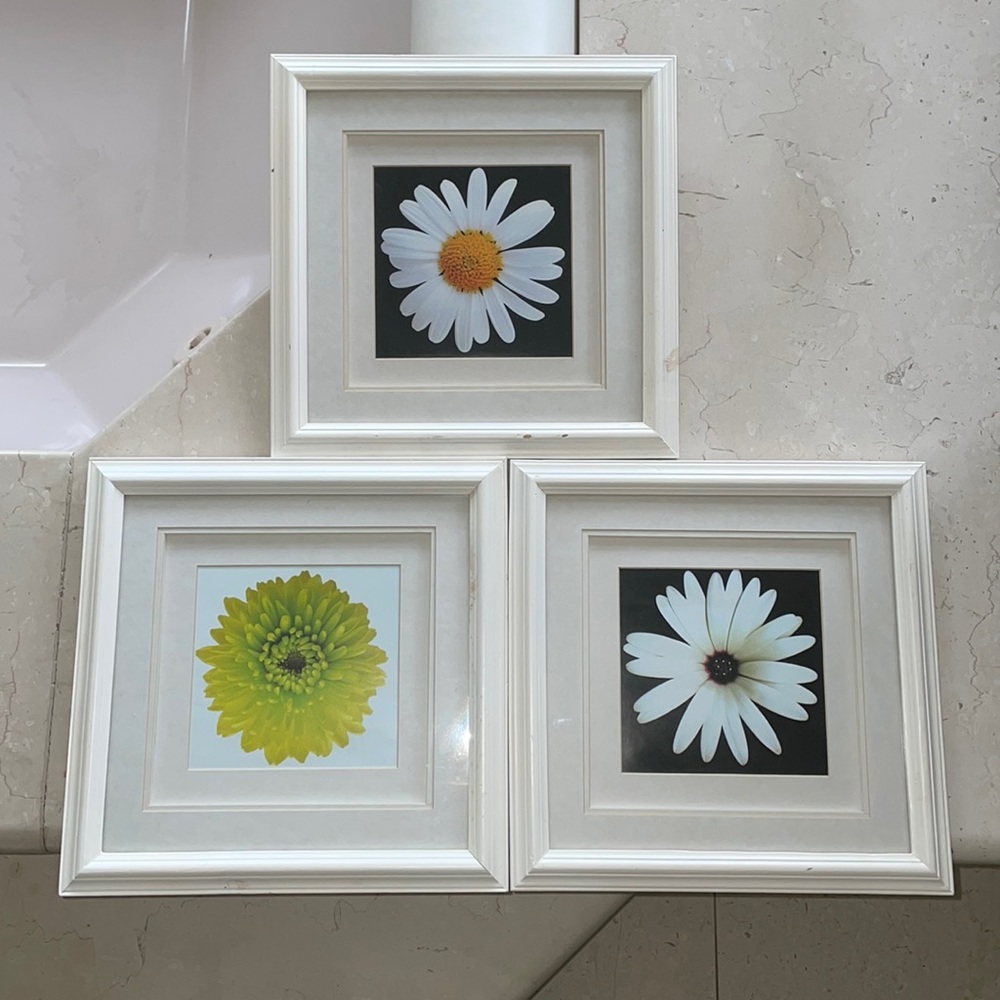 Three 11 x 11 wood floral frames. All sold as a bundle
